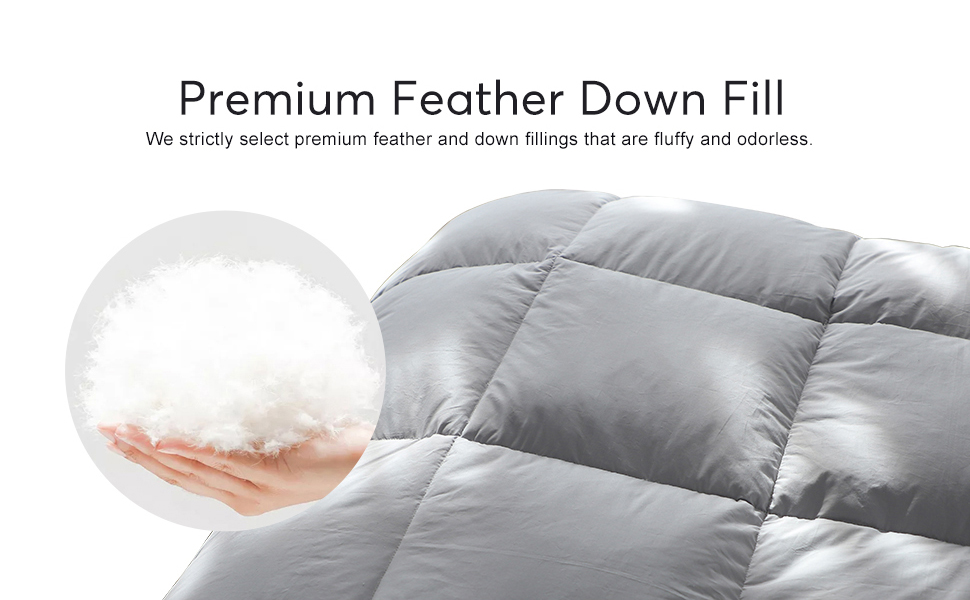 KASENTEX Twin Size Down Comforters All Season Down