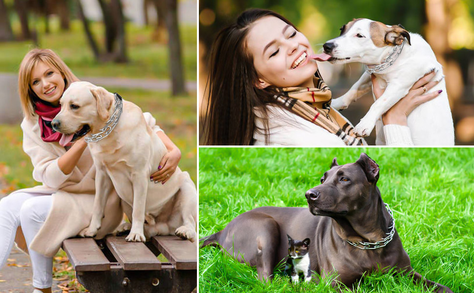 Wiotar Dog Prong Collar, Dog Choke Pinch Training Collar