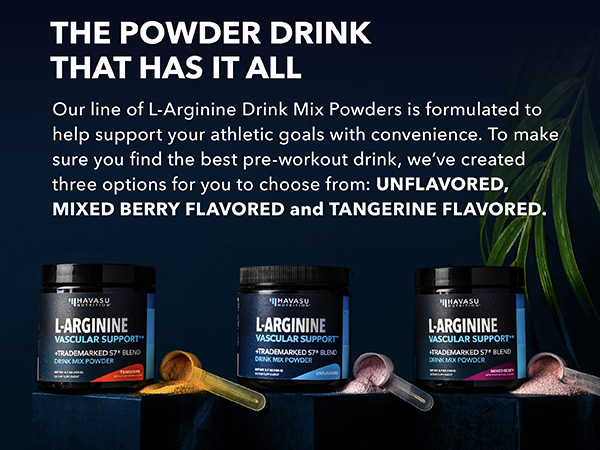 【新品未開封】HT boosting powder SHISEIDO Future Solution Lx Total Radiance Loose Powder 13g