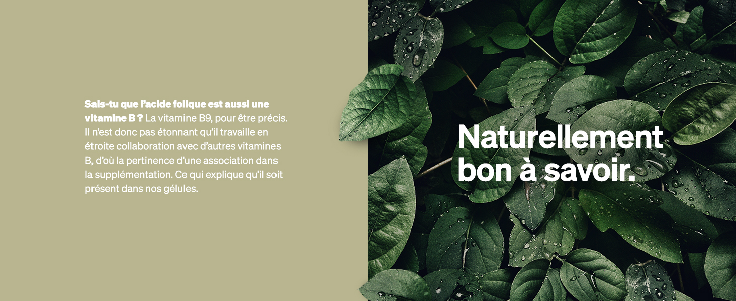 the nature conservancy - - une plante qui est une plante qui est une plante qui est une plante qui est une plante qui est une