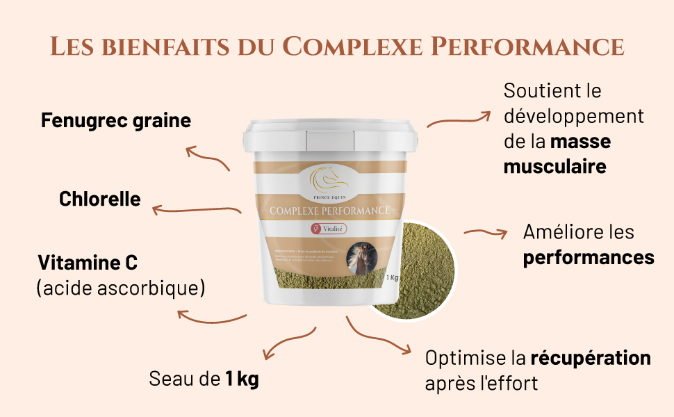Performance Chlorelle Vitamine C Fenugrec
