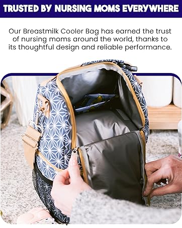 Breast Milk Cooler Travel Bag