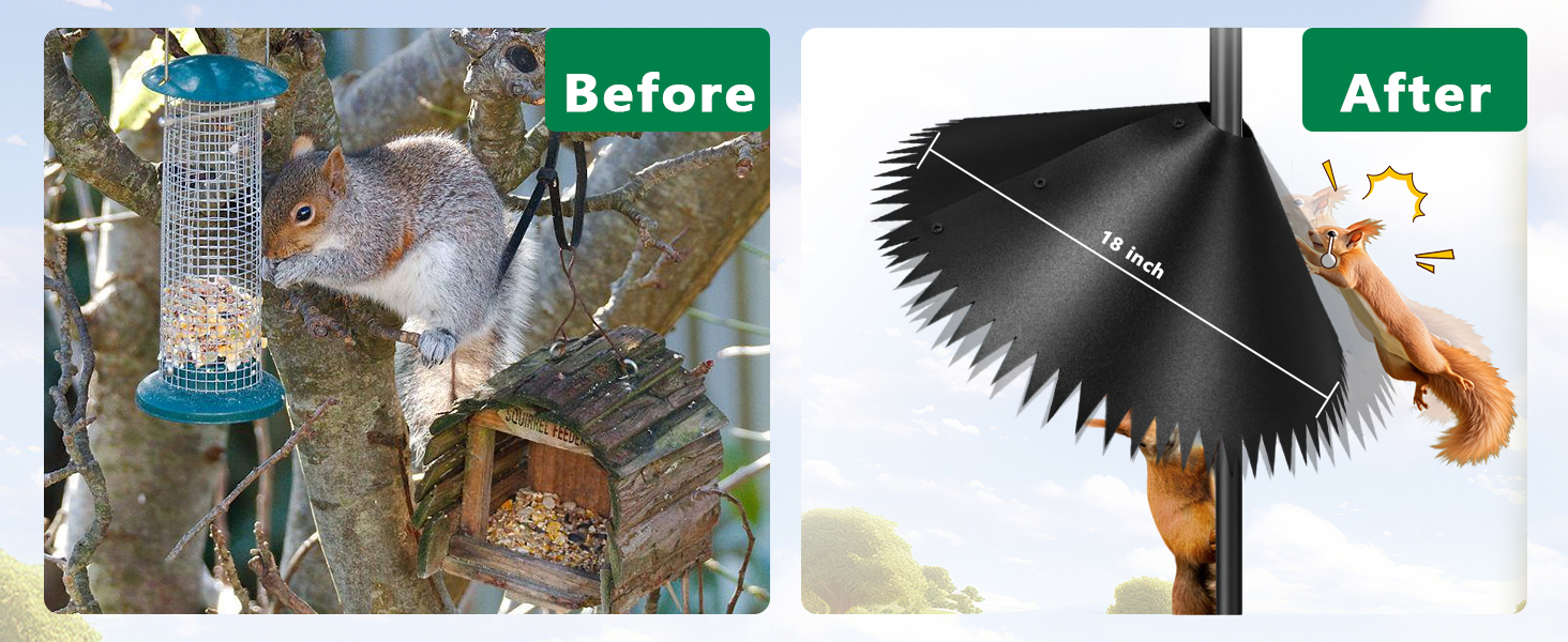 squirrel proof bird feeder pole