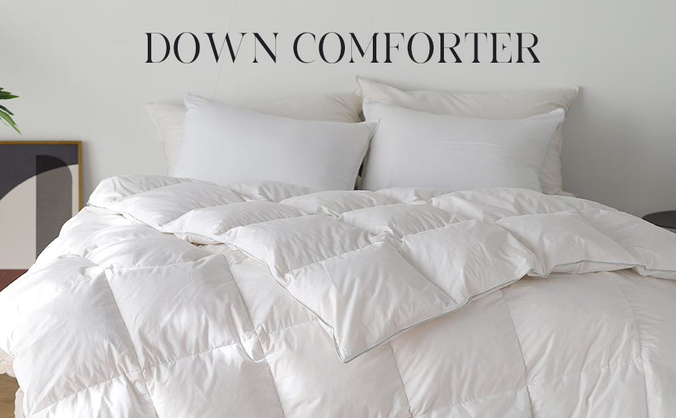 KASENTEX Twin Size Down Comforter Goose Duck All Season Down Comforter Down and