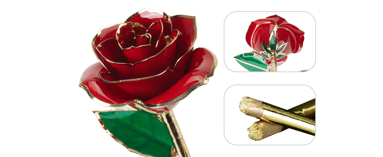 ROȘIE ROSE