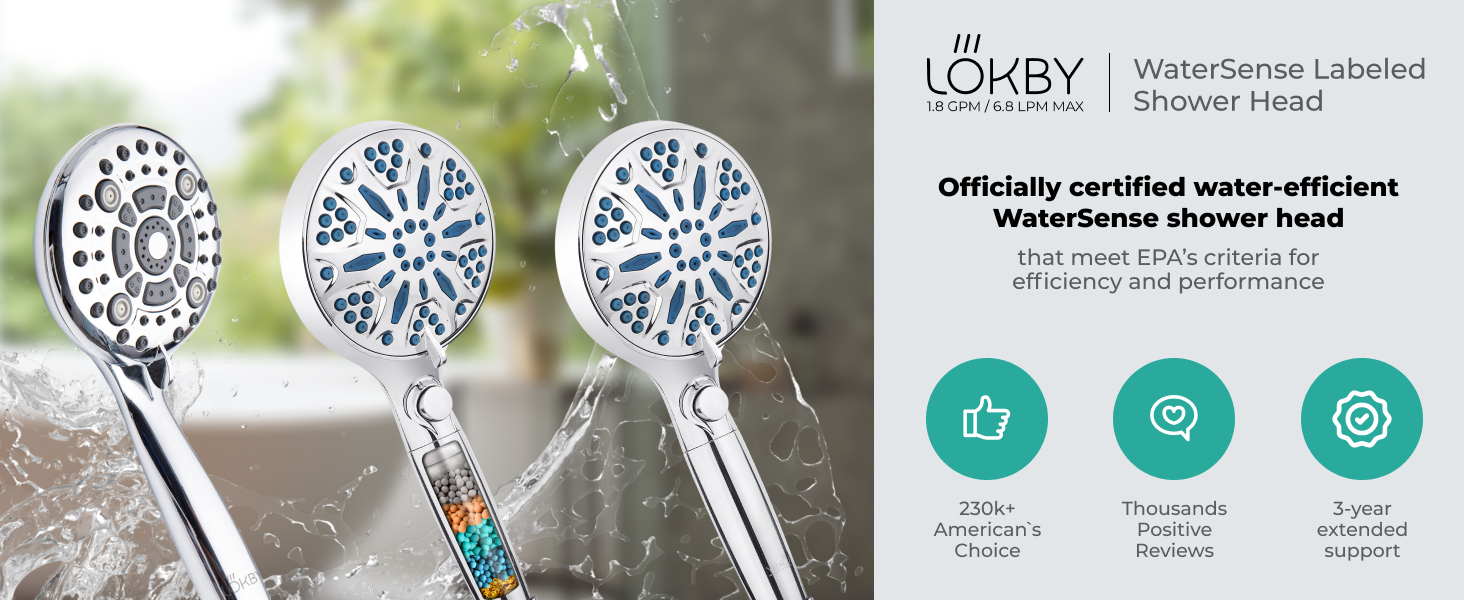 LOKBY High Pressure 6Settings Shower Head with Handheld 5'' Powerful