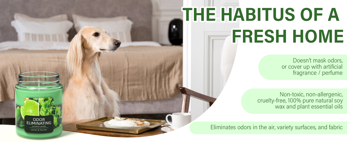 candles for home scented