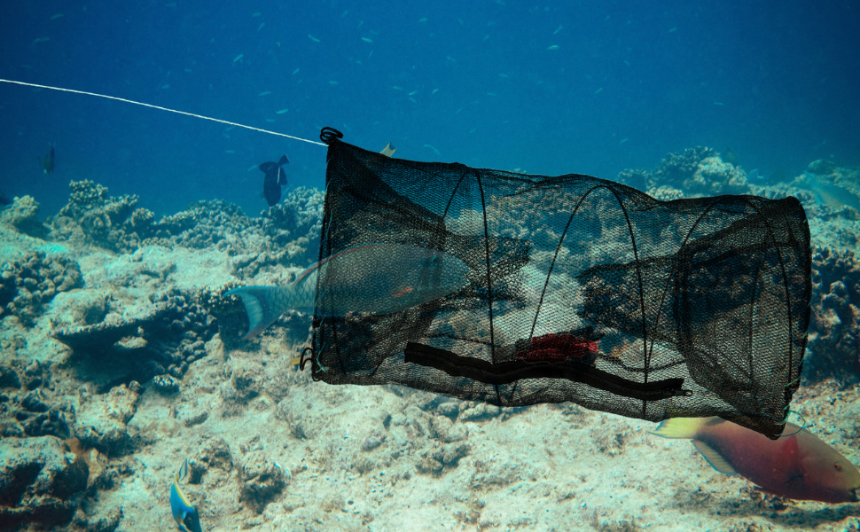 Large manufacture image 1