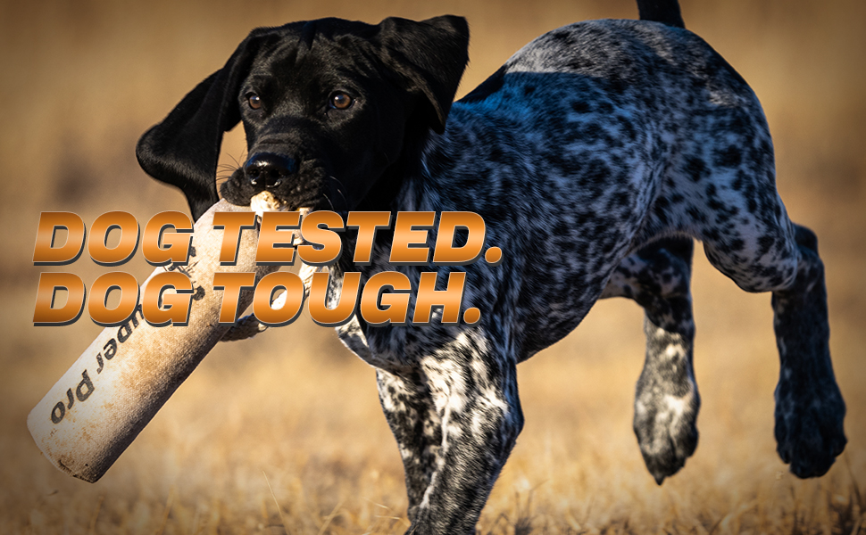 dt systems dog tested dog tough