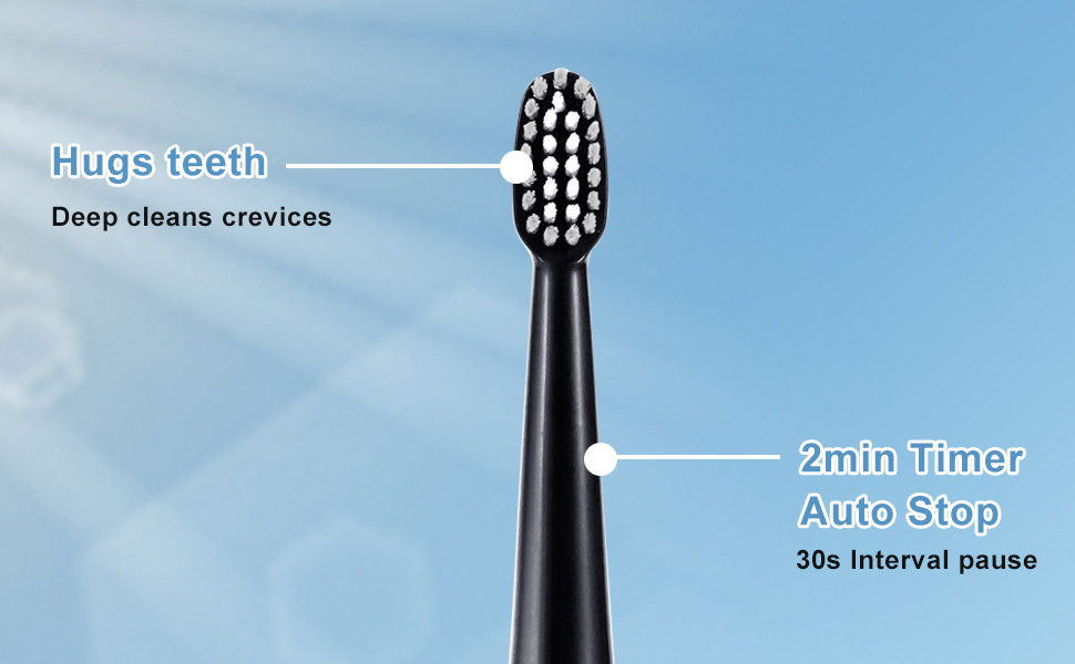 Sonic Electric Toothbrush