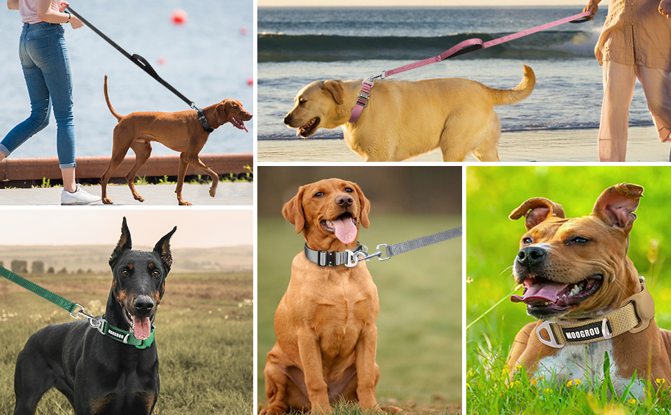 MOOGROU Dog Collar and Leash Set,Double Handle Neoprene