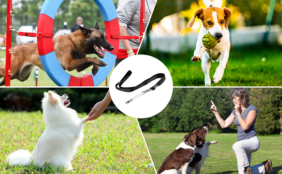 Dog Whistle, Ultrasonic Silent Dog Whistle