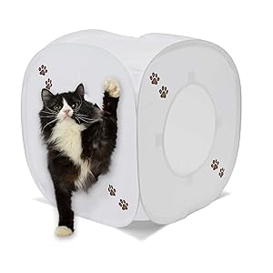 スー　キャットウォーク　トンネル　2点セット　ホワイト スー キャットウォーク トンネル 2点セット ホワイト キャット