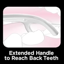 Dentek Complete Clean Easy Reach Floss Picks