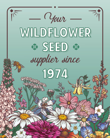 Amazon.com : Low Growing Wildflower Seed Mix - 4 g Packet