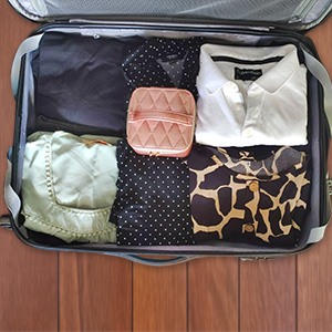 Portable Jewelry Travel Case