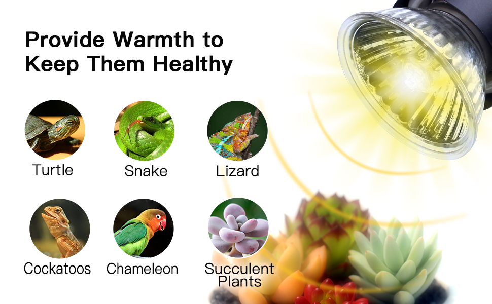 UVA+UVB Bulbs, Heat and Light for Reptiles and Amphibian Tanks, Terrariums and Cages