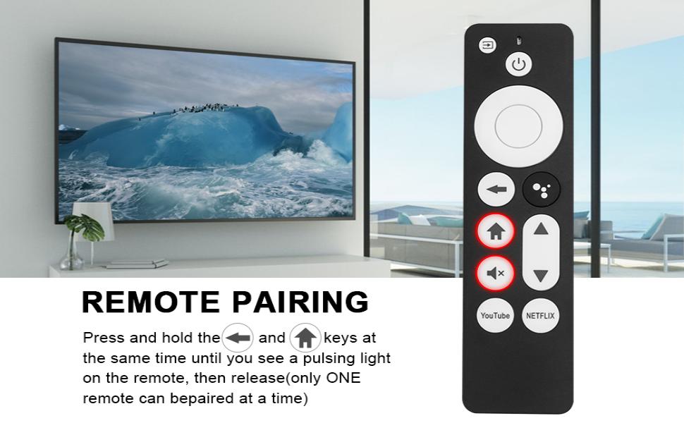 Replacement G9N9N Voice Remote Control Compatible with Google Chromecast 4K