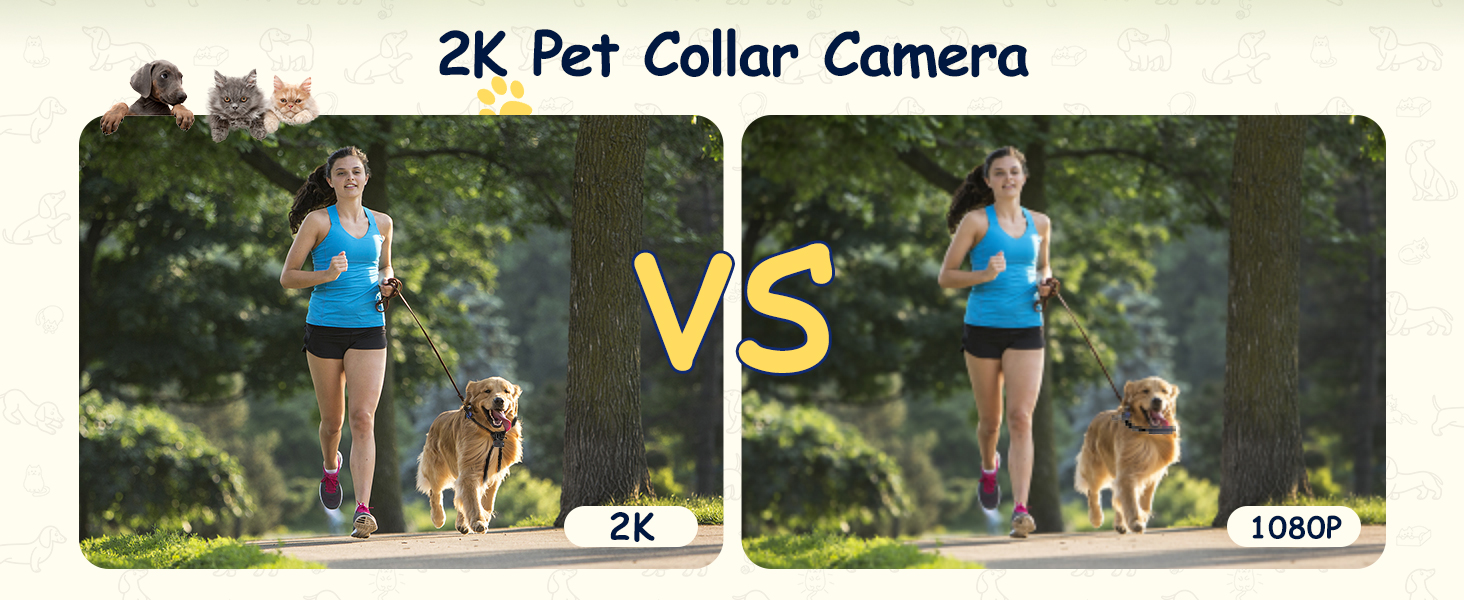 pet collar camera with phone app