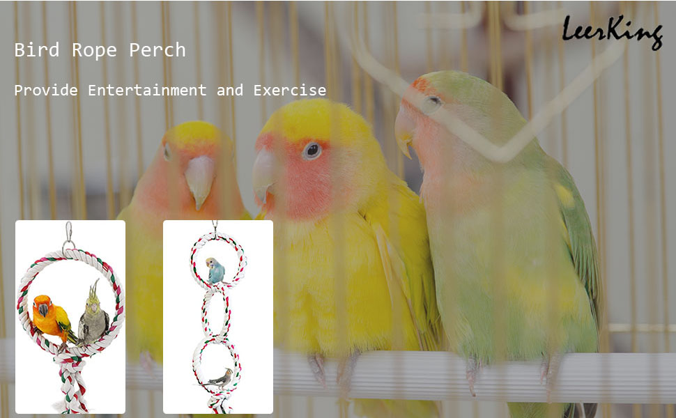 parrot rope perch chew toy