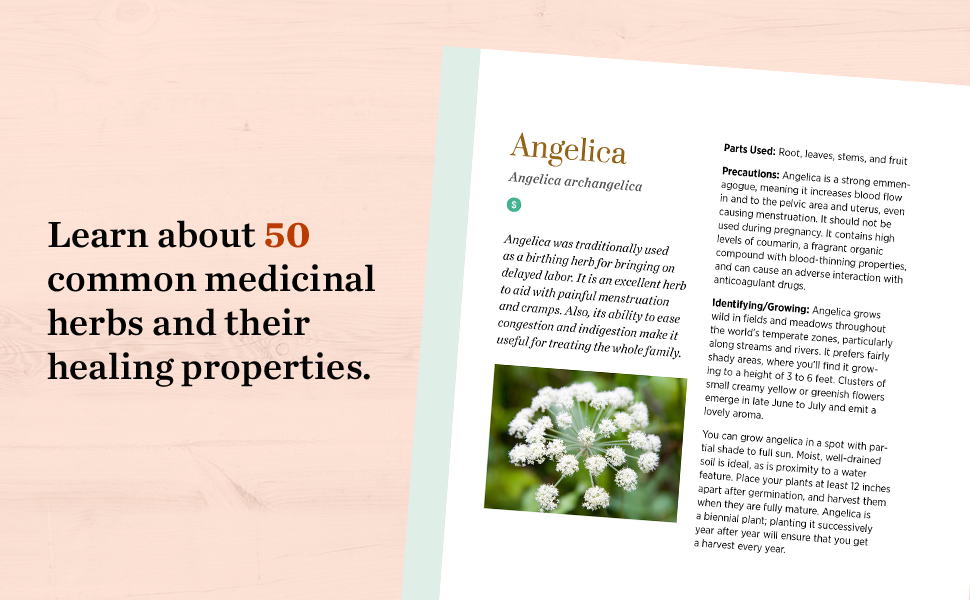Learn about 50 common medicinal herbs and their healing properties.