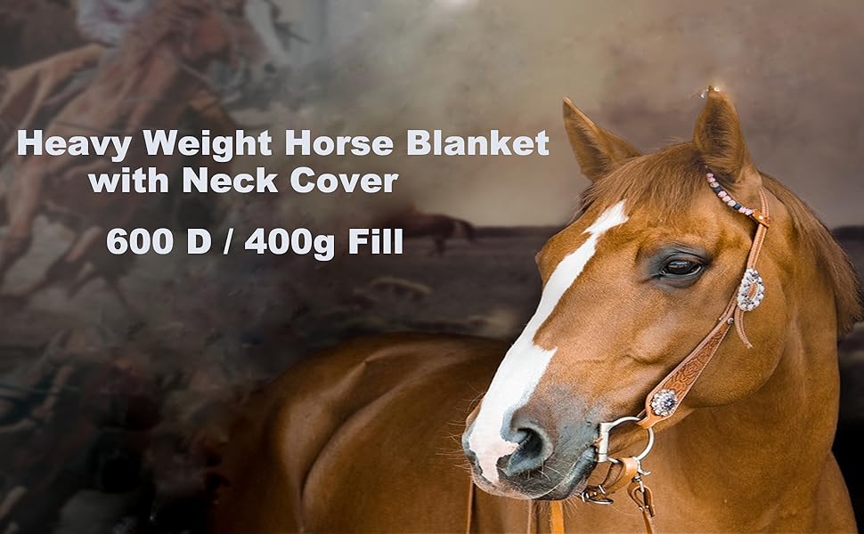 Waterproof Horse Turnout Blanket，Heavy Weight Winter