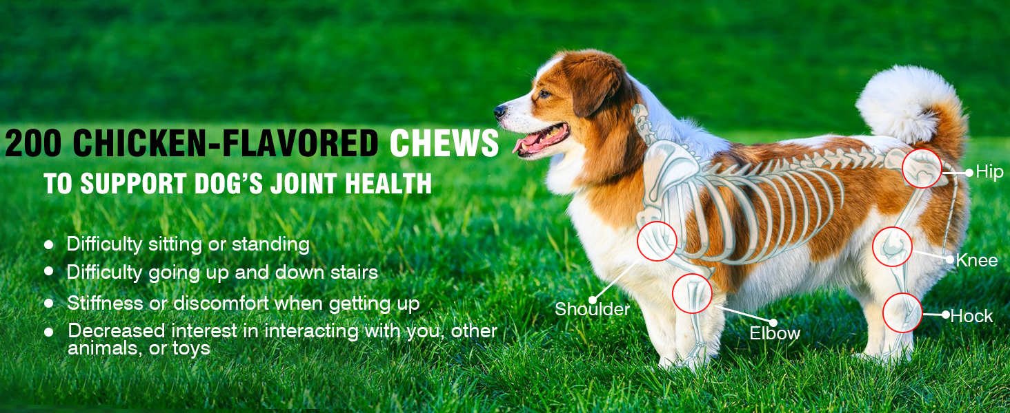 joint supplements for dogs