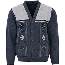 Men Cardigans