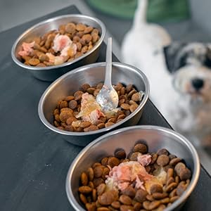 Homemade healthy dog food 