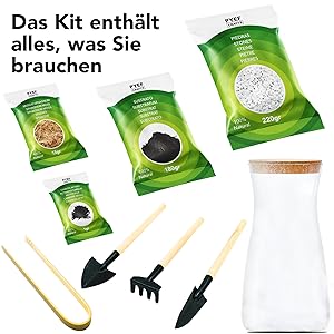 eine Reihe von Werkzeugen zum Pflanzen