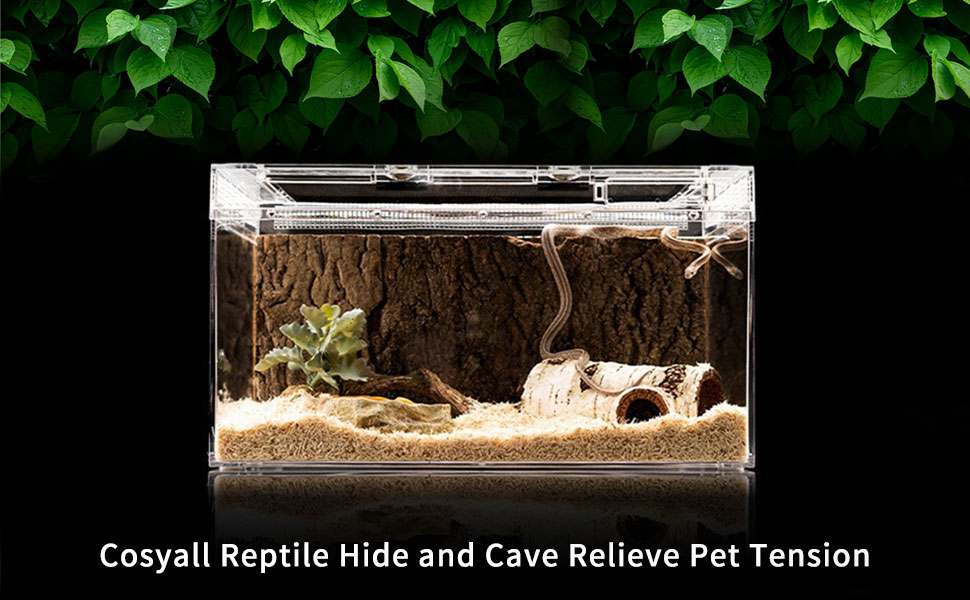 Reptile Hide Large Caves Simulation Tree Hideout Snake