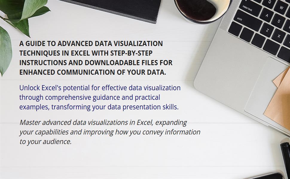 Amazon.com: Data Visualization in Excel: A Guide for Beginners ...