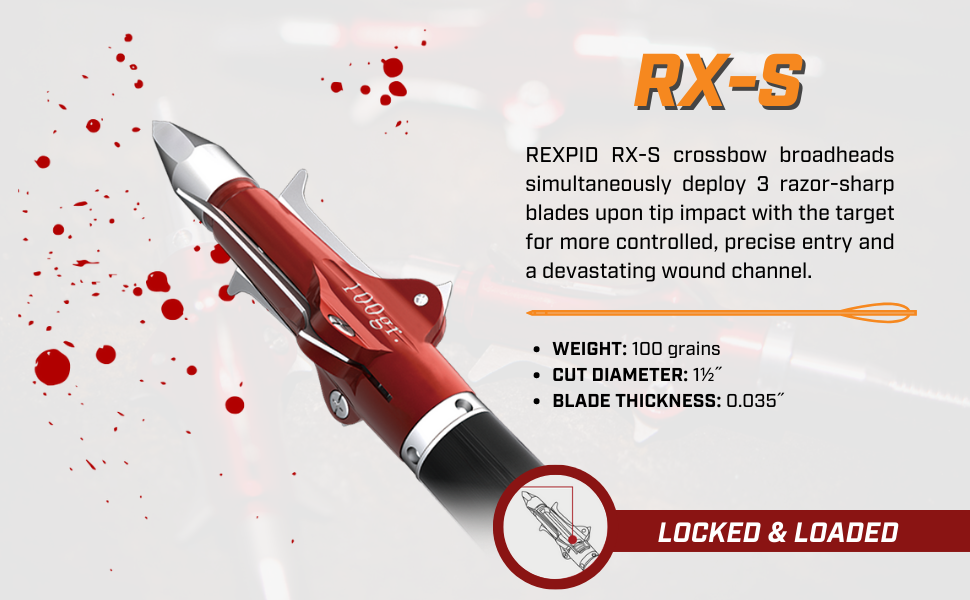 Rexpid 