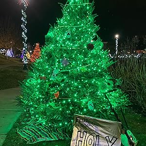 Dazzle Bright St. Patrick's Day String Lights, 100 LED 33FT
