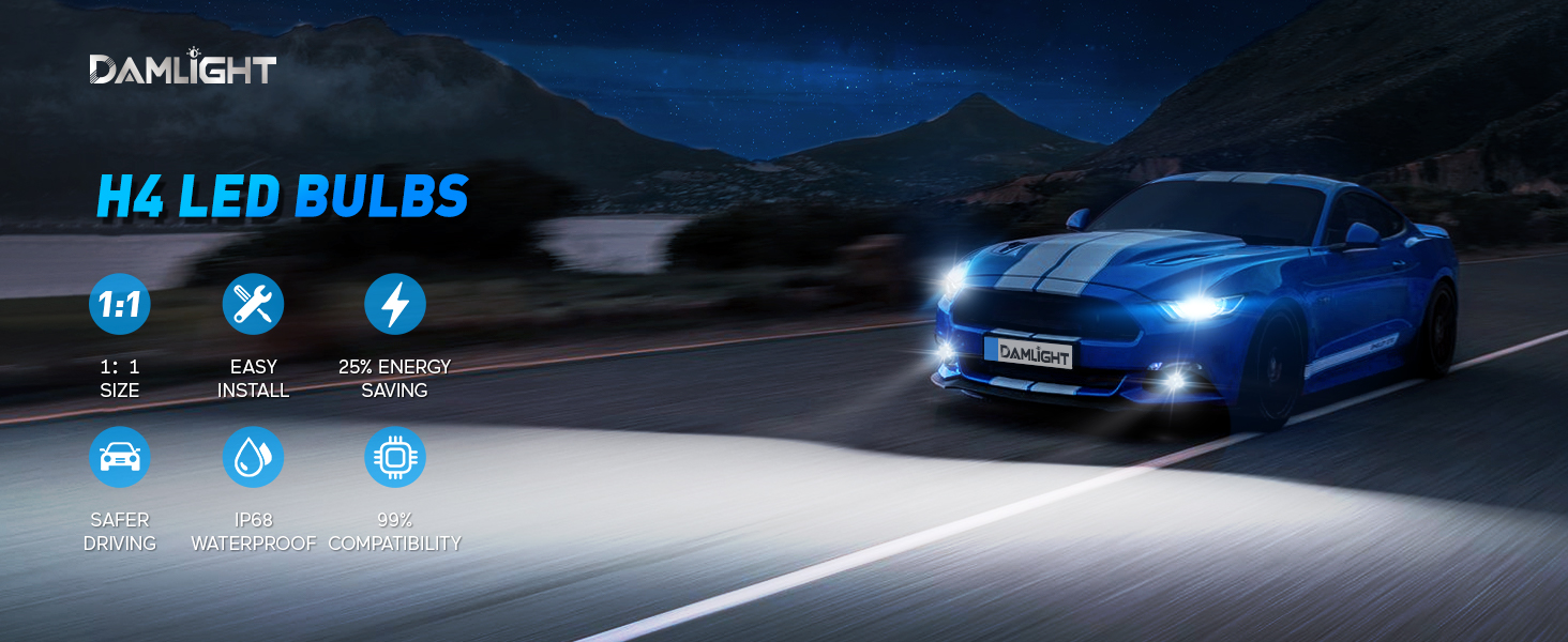 Damlight H4 Fog Light Bulb, 11 Size Super Bright 24000