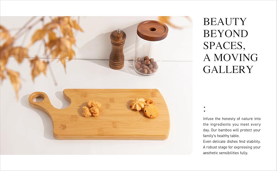 Beauty Beyond Spaces, A Moving Gallery