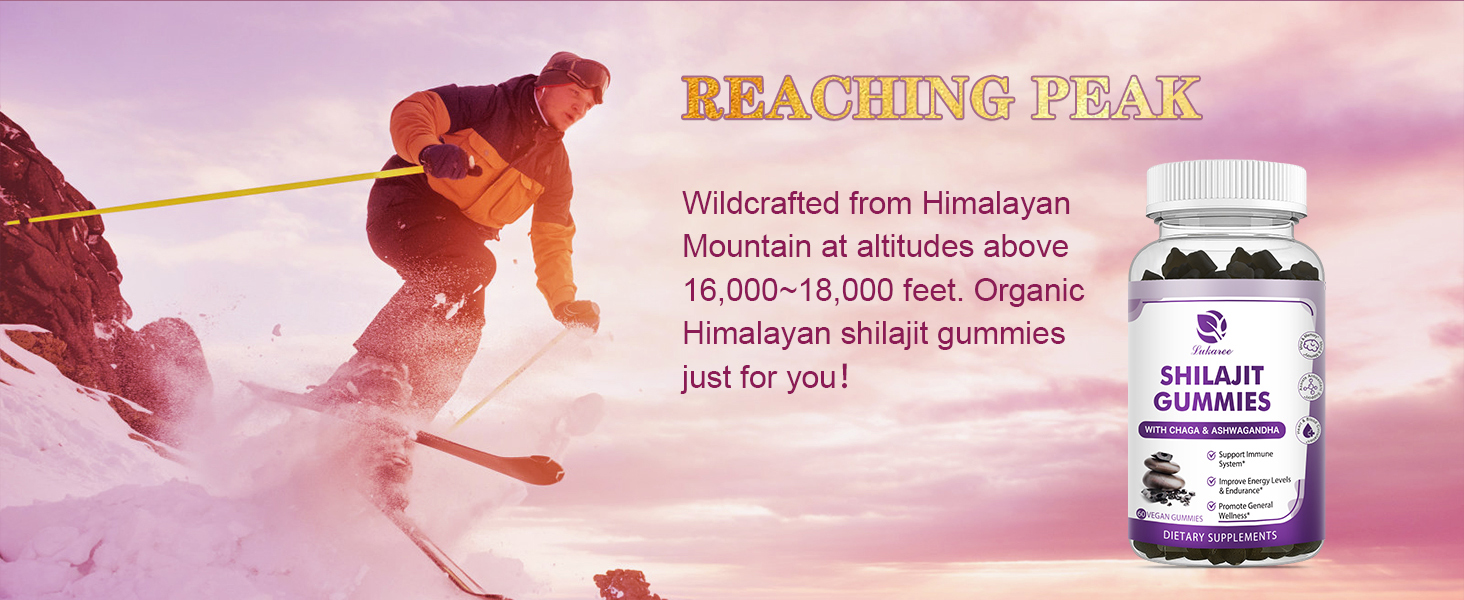 shilajit supplement