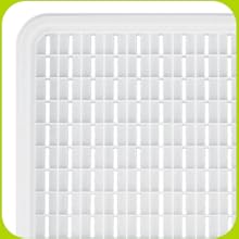 Seed Sprouter Tray