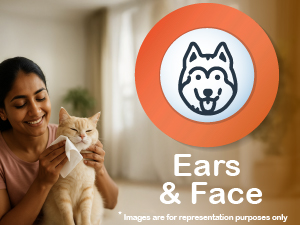 pet wipes