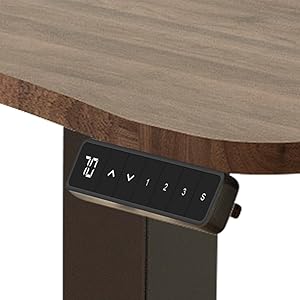 fromann desk