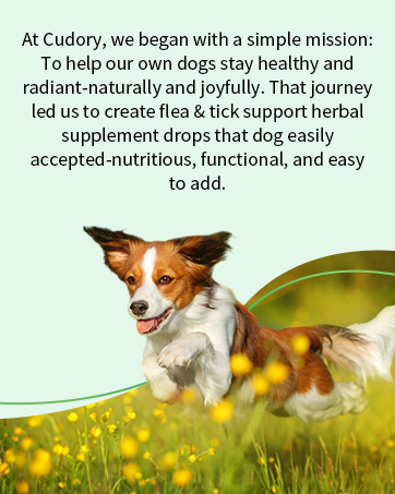 flea and tick prevention for dogs