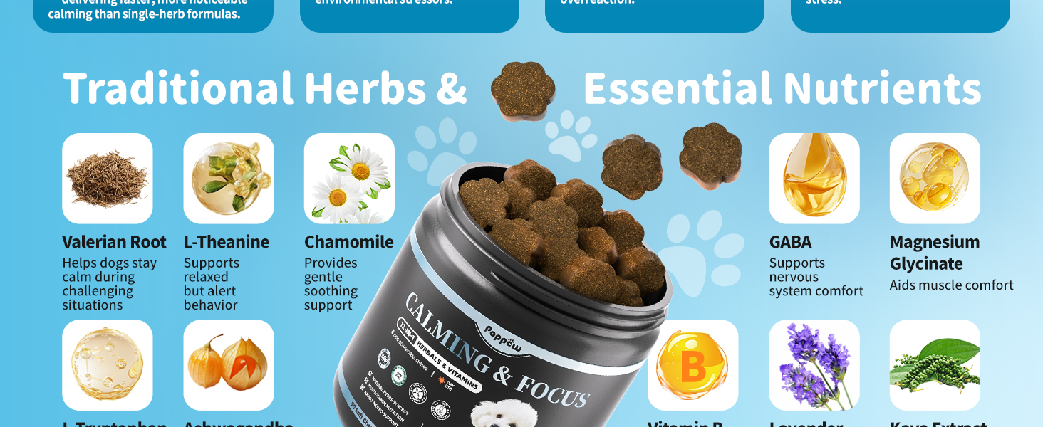 calming chews for dogs