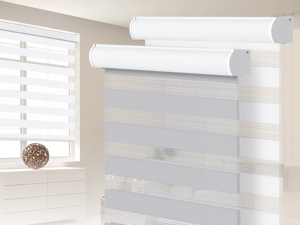 Amazon.com: SEEYE Cordless Zebra Blinds for Window, French