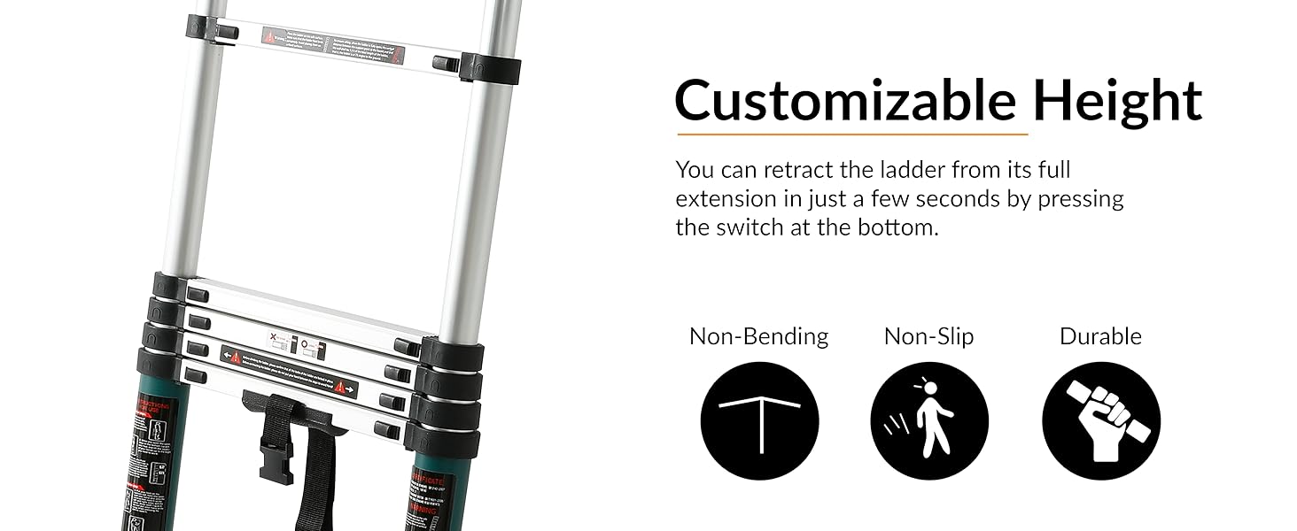 Plantex telescopic ladder