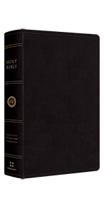 ESV Large Print Personal Size Bible Black