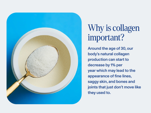 Why is collagen important?