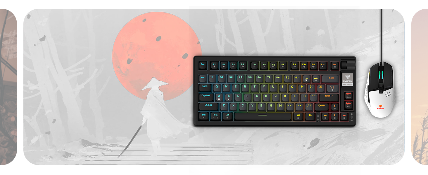 EvoFox Ronin Wireless TKL Mechanical Keyboard