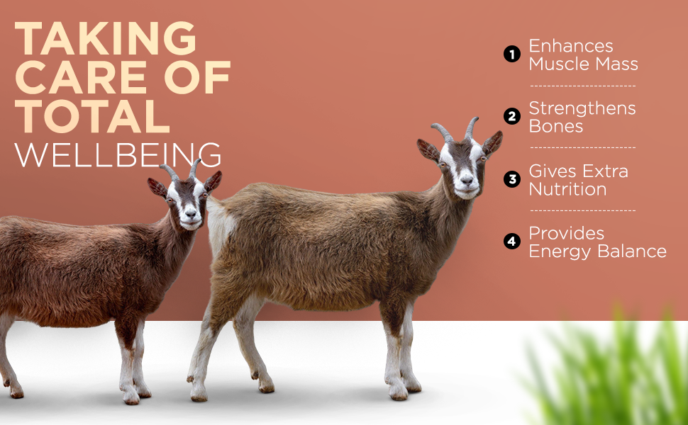 REFIT ANIMAL CARE Goat Supplement for Weight Gain, 1 Kg, SuperMass