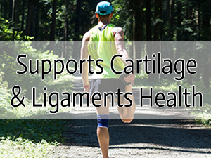 joint support supplement