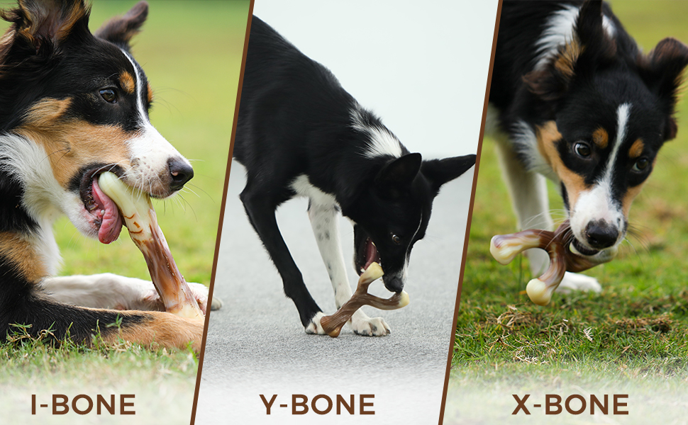 Tikaton Holiday 3Pack Durable Dog Chew Toys for